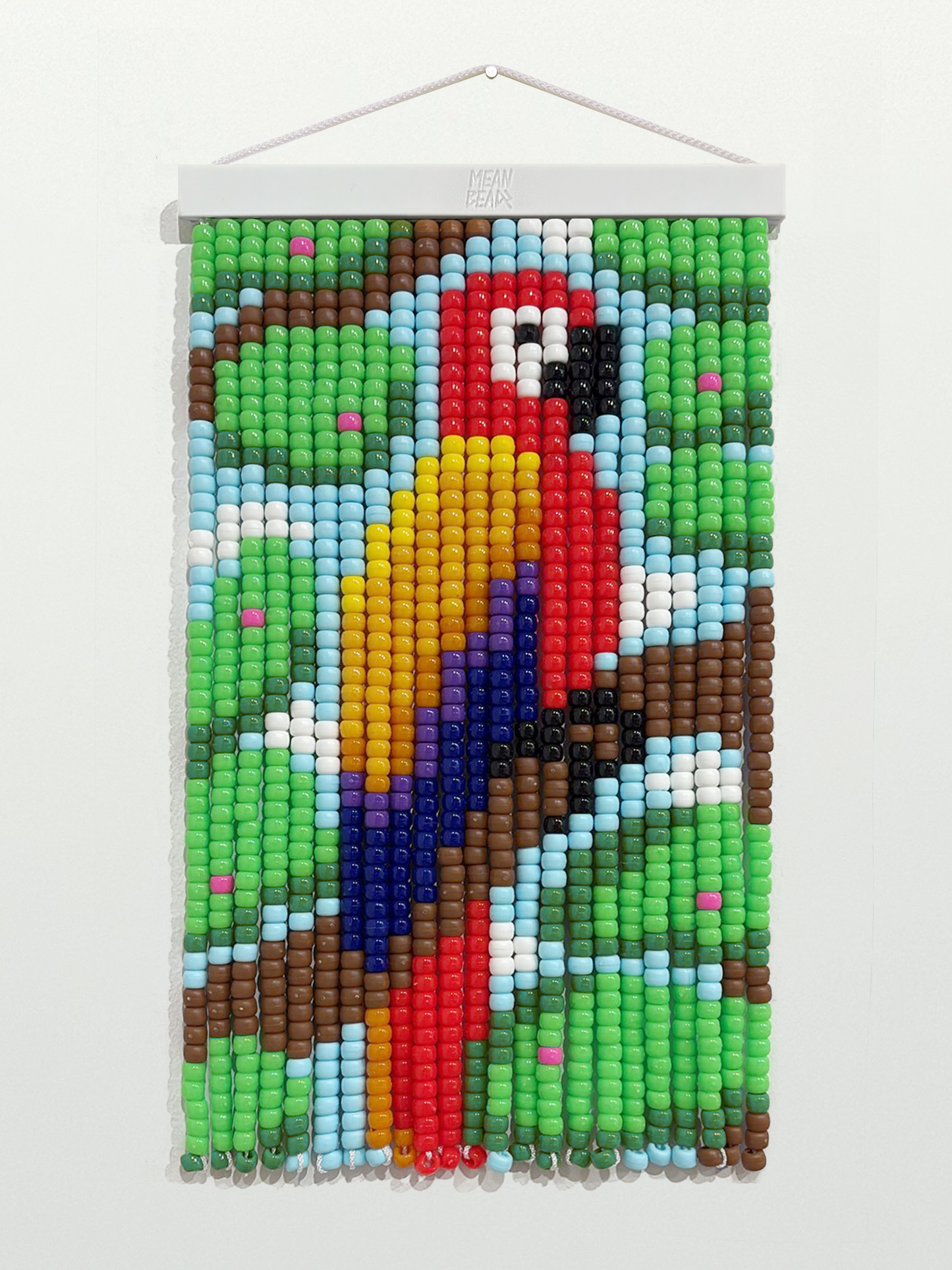 🏠 CURTAIN POSTER: PAPAGAYO LIBRE